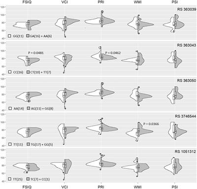 SNAP-25 Single Nucleotide Polymorphisms, Brain Morphology and Intelligence in Children With Borderline Intellectual Functioning: A Mediation Analysis